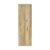 NIC-S65.3