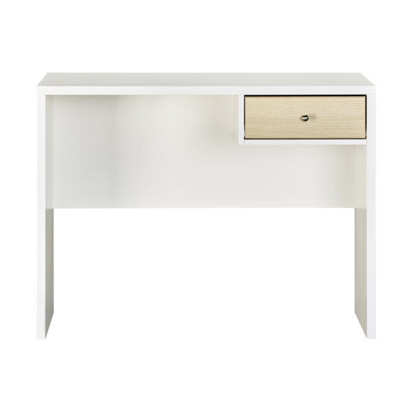 COS-DS101-B-1995 COS-DS101-B-1995