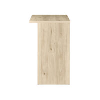 FIN-DS100-FP-5176